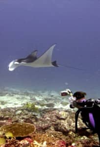 Underwater photography course at Constance Moofushi, Maldives