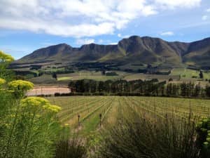 South Africa, wine region