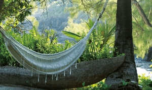 Catch the shade while relaxing in the hammock
