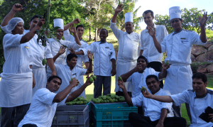 Constance Lémuria's chefs collect the day's ingredients