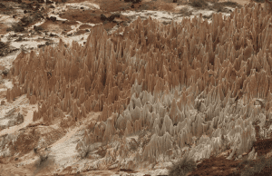 Discover the tsingys found at Ankarana National Park