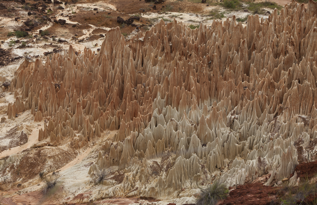 Discover the tsingys found at Ankarana National Park