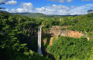 Discover the hidden gems of Mauritius on your jungle hike