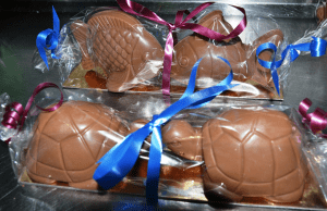 Treats for Easter: chocolate marine life