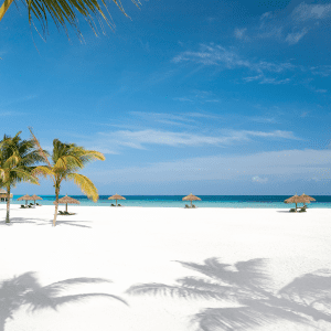 4. Welcome to Constance Moofushi, today's Beach Thursday...