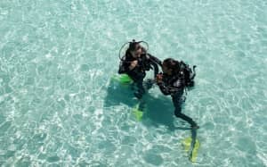 Scuba diving is a popular past time at Moofushi