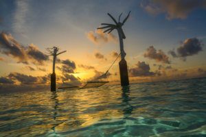 Sunset over the sea hammock Constance Moofushi Maldives