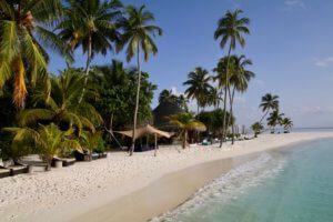 maldives family holiday beach palm trees